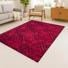 Thick Shaggy Rug Hallway