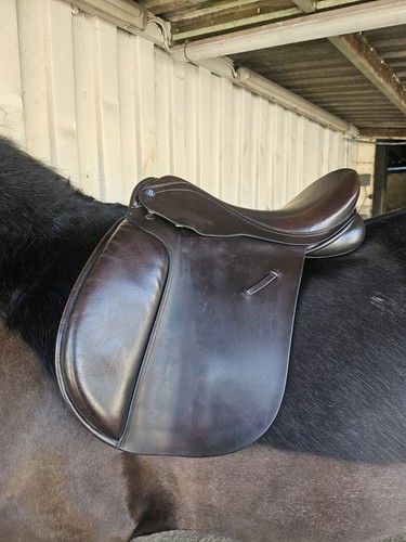 Barnsby havana show - saddle, 18"