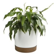 Round Flower Pot Planter with