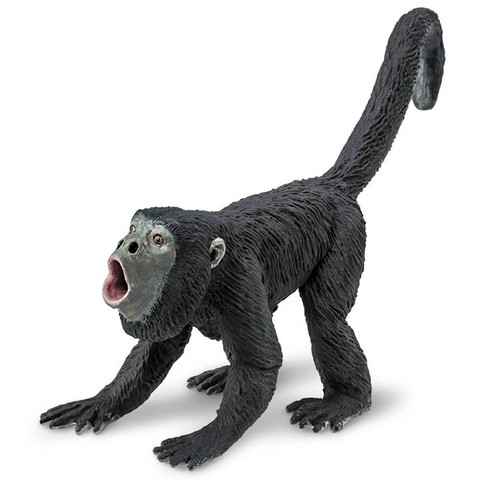 Howler monkey wild - howler,