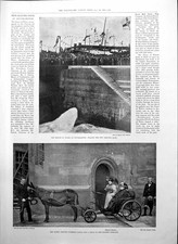 Old Print Prince Wales