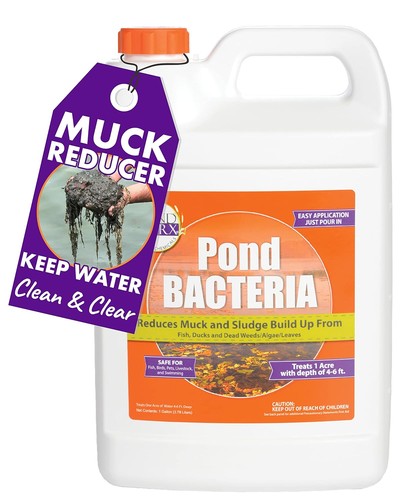 Large pond bacteria - large, 1