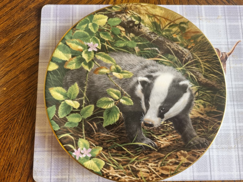 Coalport plate the eurasian - coalport, 'the