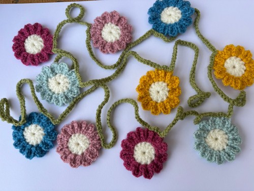 Mixed colours daisy with - colours,