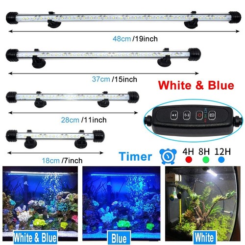 Aquarium fish tank pond - tank,