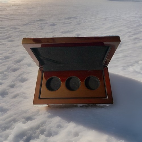 Wooden coin - wooden,