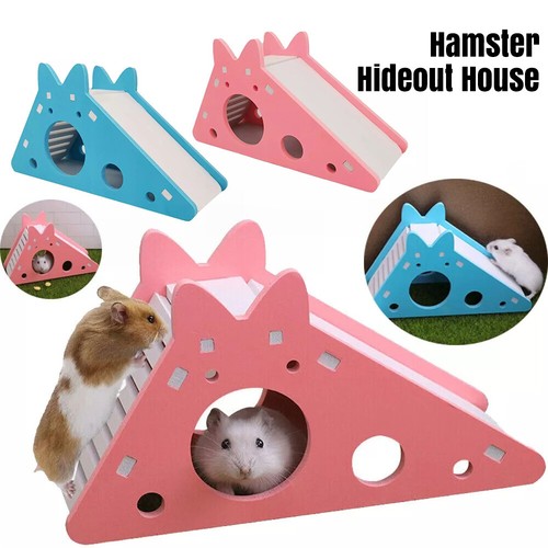Pet hamster hideout - pet, cage