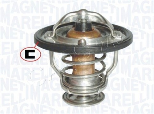 Magneti marelli coolant - magneti,