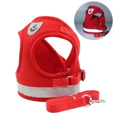 Cat Harness & Lead Leash Set