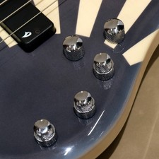 Vigier Guitars V4ECC WRS MY