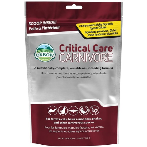 Critical care carnivore - critical,