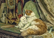 Henriette Ronner-Knip Cat