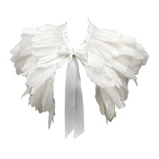 Feather Shawl Fancy Dress for