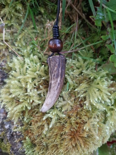 Antler pendant necklace - pendant,