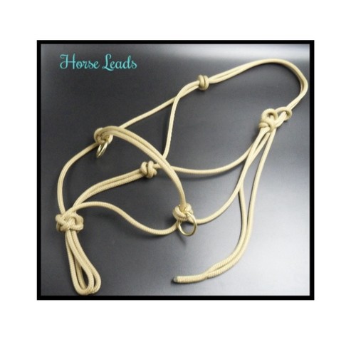 Horse leads rope halter pony - rope,