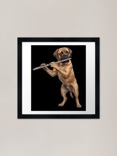 Mastiff Playing Flute Player