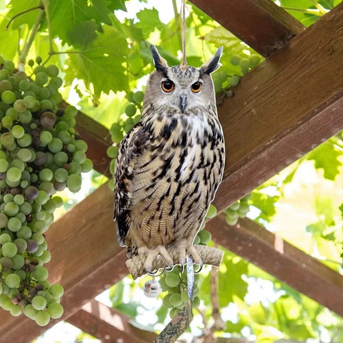 Owl decoy bird deterrent - decoy,