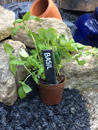 Handmade slate markers - 20,