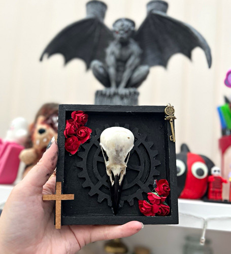 Bird skull shadow box - skull, frame