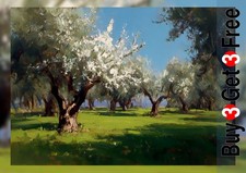 Blossoming orchard trees - orchard, 5"x7"