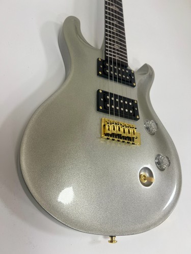 Silver sparkle electric - ,