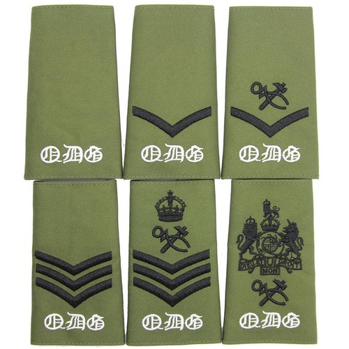 Queens dragoon guards - dragoon, qdg