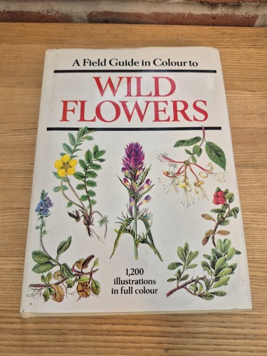 Vintage 1987 wild flowers - vintage,