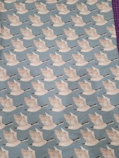 Organic Cotton Jersey Fabric