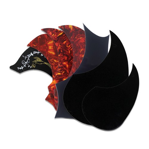 Acoustic guitar pickguard - guitar,