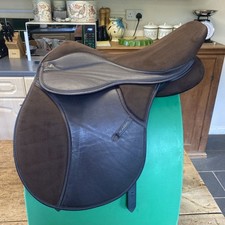 Thorowgood Griffin  Pony Club