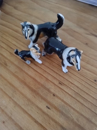Set three collie dog - collie,