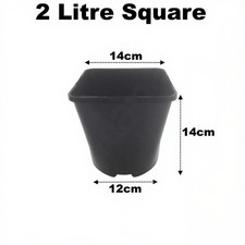 2 Litre Square Plant Pots 14cm ( 5.5" ) Black Plastic 1cm Deep Seed Flower Pot