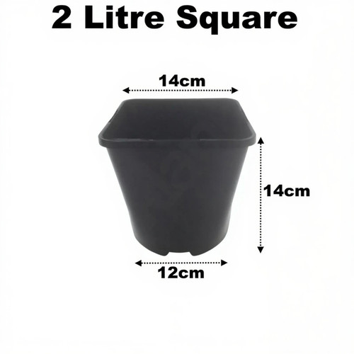 Litre square plant - square, pots