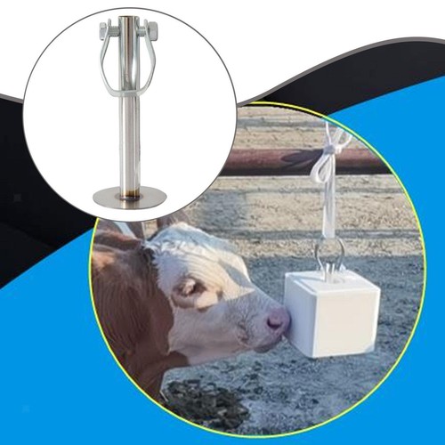 Salt lick holder - salt,
