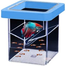 Floating Fish Tank Breeder Box