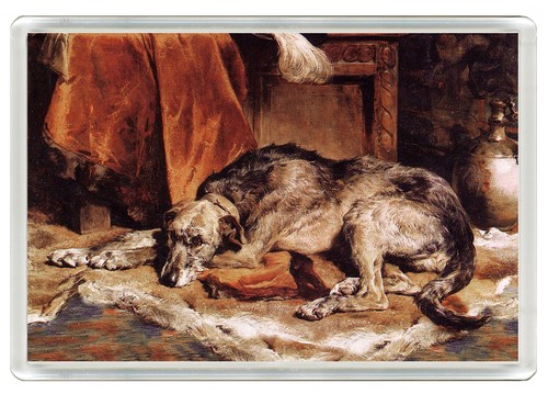 Irish wolfhound dog fridge - irish,