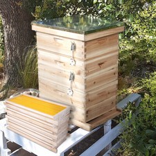 3 Tier Langstroth Beehive Box