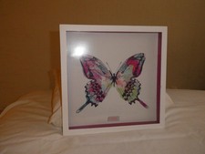 Picture of a Butterfly- used