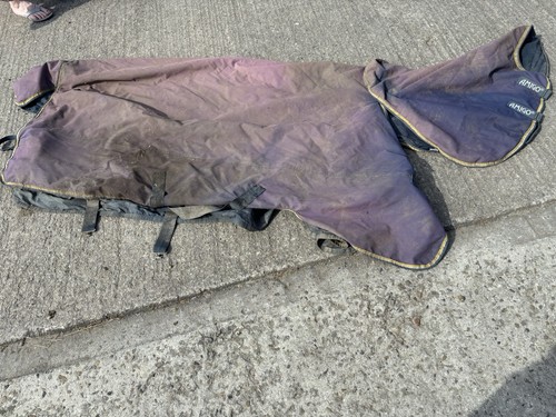 Amigo turnout rug pretty - amigo,