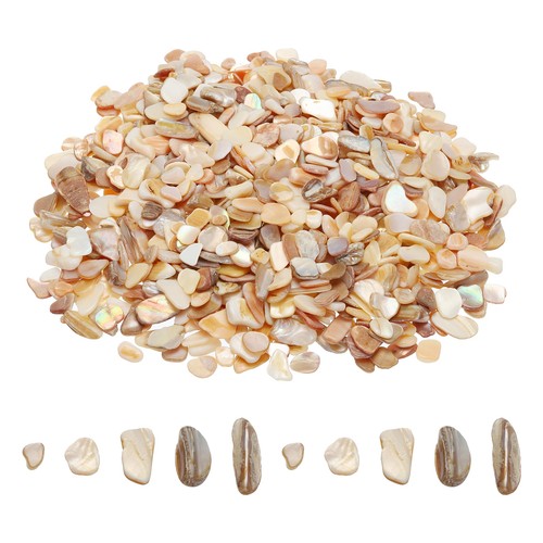 500g crushed shells irregular - 500g,