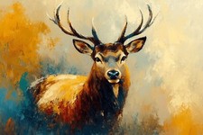 Stag Deer Canvas Picture Print
