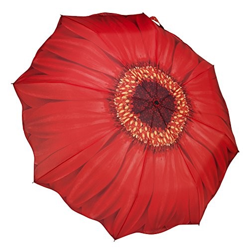 Galleria red daisy - galleria-red,