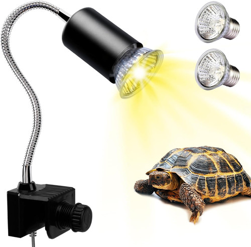Tortoise heat lamp - tortoise,