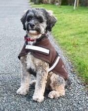 Rhinegold Dog Fleece Dog Coat