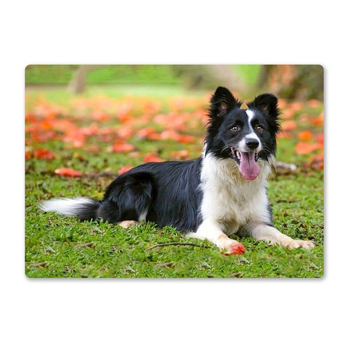 Metal wall sign dogs border - metal,