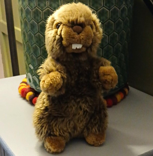 Brown beige plush marmot - marmot, soft