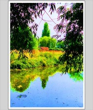 Down By The Riverbank A4 Print