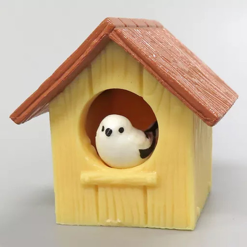 Adult collectible shima - adult,
