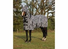Zebra fly rug horse - zebra,