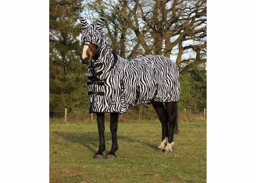 Zebra fly rug - horse,